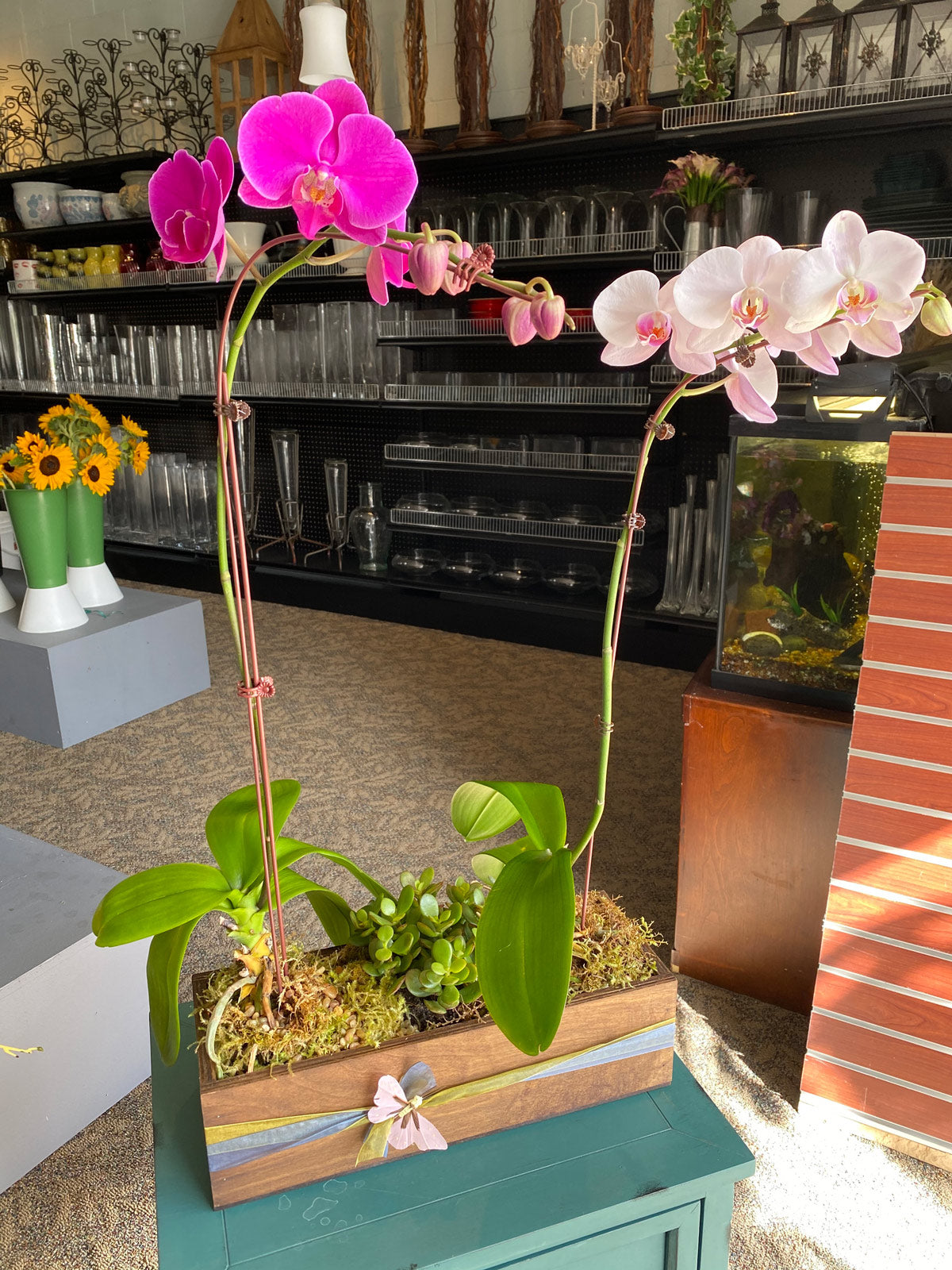 Elements - Vivian's Flower Market