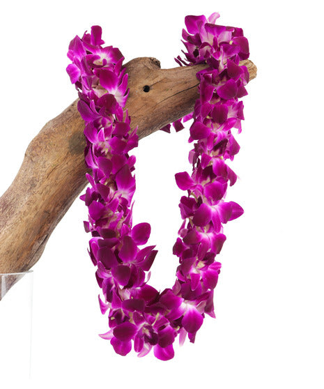 Double Purple Leis
